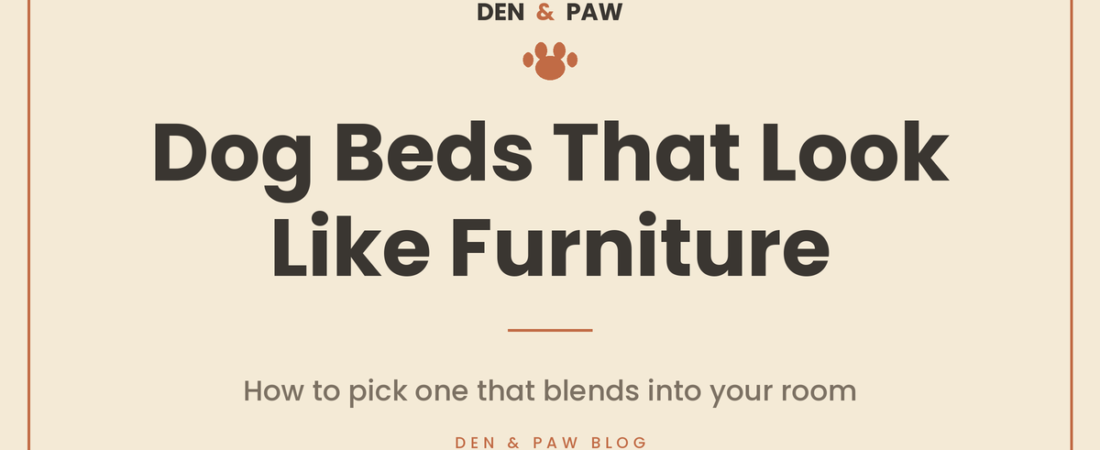 Dog Beds That Look Like Furniture: How to Pick One That Blends Into Your Room