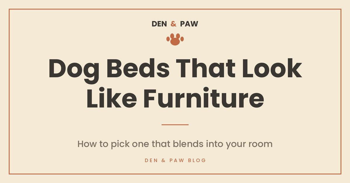 Dog Beds That Look Like Furniture: How to Pick One That Blends Into Your Room