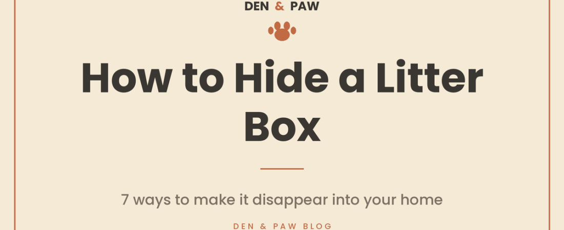 How to Hide a Litter Box: 7 Ways to Make It Disappear Into Your Home